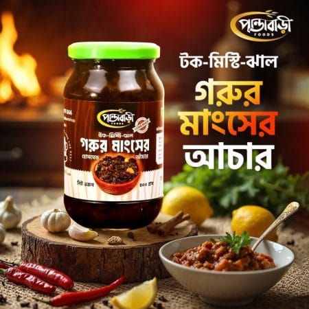 গরুর মাংসের টক-মিস্টি আঁচার | Beef Achar