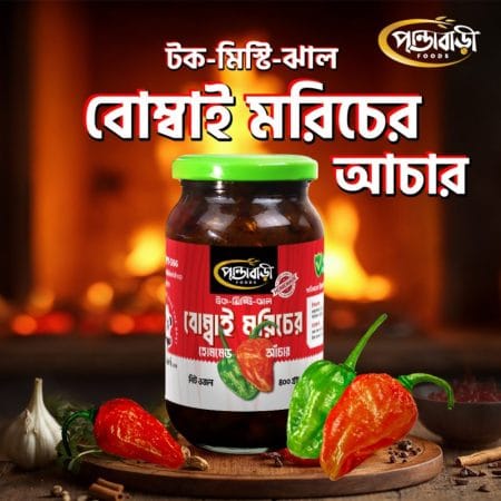 বোম্বাই মরিচের আঁচার | Bombay Chili Achar